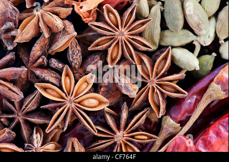 Cucina indiana spezie pattern. Piatto fotografia laici dal di sopra. Foto Stock