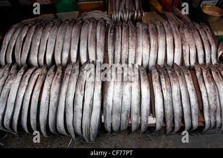 Pesce su display Jagalchi nel mercato del pesce di Busan, Corea del Sud Foto Stock