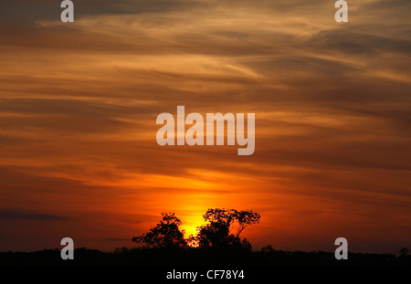 Il sole tramonta dietro una amaca in Florida Everglades National Park Foto Stock