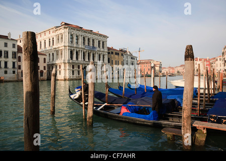 Vista sul Canal Grande, Canal Grande, al mattino con gondole, Venezia, Italia Foto Stock