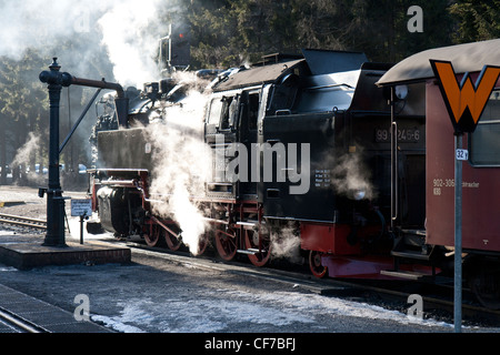 Assunzione di acqua - locomotiva a vapore tirando un treno su Harz ferrovia di montagna al brocken Foto Stock