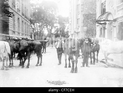 Cavalli requisite per lo sforzo di guerra durante la guerra mondiale I, Paris, Francia. Foto Stock