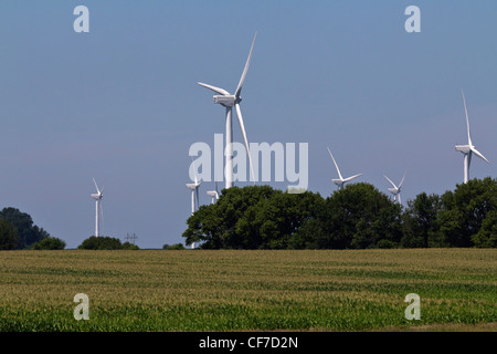 Terreni agricoli americani del sud del Minnesota MI con turbine eoliche immagini immagini grande risoluzione area senza deriva vendita per su Alamy negli USA US ad alta risoluzione Foto Stock