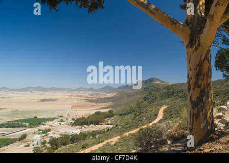 Bain's Kloof Pass montagna Hawequas bacino idrografico, Western Cape, Sud Africa Foto Stock