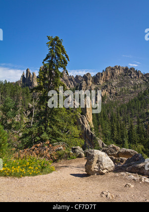 Montagne americane Black Hills National Forest South Dakota SD splendide immagini ad altissima risoluzione immagini formato verticale negli Stati Uniti alta risoluzione Foto Stock