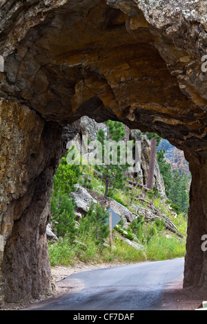 Tunnel della foresta nazionale delle Black Hills americane Custer State Park South Dakota negli Stati Uniti Iron Mountain Road Vista frontale nessuno verticale ad alta risoluzione Foto Stock