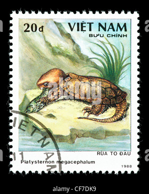 Francobollo dal Vietnam raffigurante un grande capo-tartaruga (Platysternon megacephalum) Foto Stock