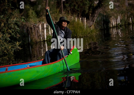 Un uomo che usa una canoa attraverso i canali di acqua di Xochimilco sul lato sud di Città del Messico Foto Stock