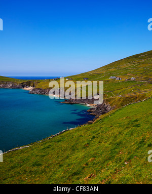 Coumeenole beach, costa della penisola di Dingle e Coumeenoole Bay, in estate, Irlanda. Foto Stock