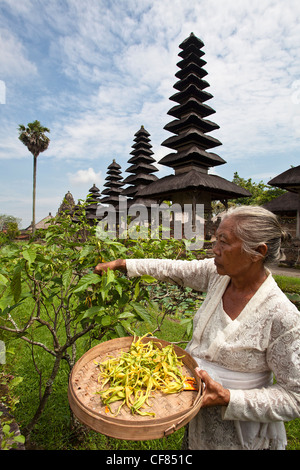 Indonesia asia, isola di Bali, Mengwi, Pura Taman Ayun, tempio, donna, raccolta, fiori, palace, giardino tropicale, tradizionale Foto Stock