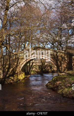 Cacciatori Sty Packhorse antico ponte sul fiume Esk a Westerdale, North Yorkshire Foto Stock