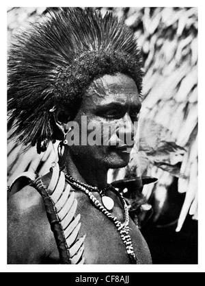 Wanigella Beau emula protestando Porcupine 1927 Foto Stock