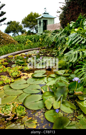 St Helena Longwood House Gardens e lily pond home a Napoleone Bonaparte fino al 1821 quando qui morì 51 anni Foto Stock