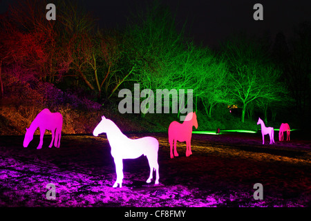 Luce installazioni artistiche nel Gruga Park, a Essen, Germania. Festival della luce in inverno, illumina il parco con sculture di luce. Foto Stock