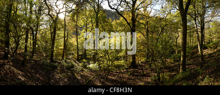 Vista panoramica di Hardcastle Crags vicino a Hebden Bridge, in autunno. Foto Stock