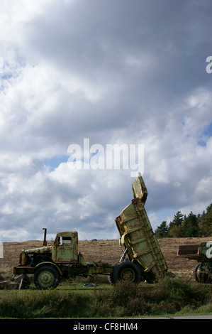 Vecchio arrugginito autocarri con cassone ribaltabile accanto ad un campo di mirtilli in autunno, in prospettiva, Maine Foto Stock