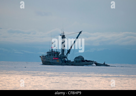 La pesca delle aringhe barche lavorando la Georgia diritta, l'isola di Vancouver. BC Canada. SCO 8074 Foto Stock