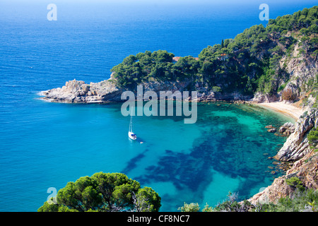 Spagna, Europa, provincia di Girona Costa Brava, Costa, Tossa de Mar, Cala Futadera Beach, spiaggia, blu, acqua, mare, viaggi, turismo, Foto Stock