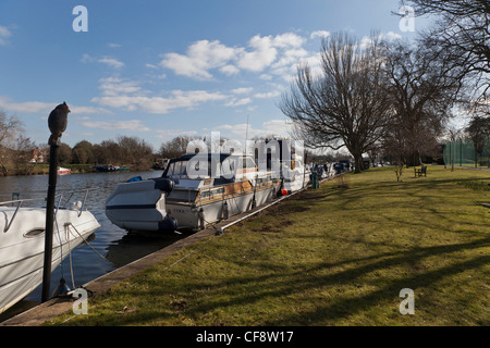 Imbarcazioni da diporto ormeggiate nel fiume Tamigi vicino a Teddington lock in primavera. Il gufo di legno sul palo. Foto Stock