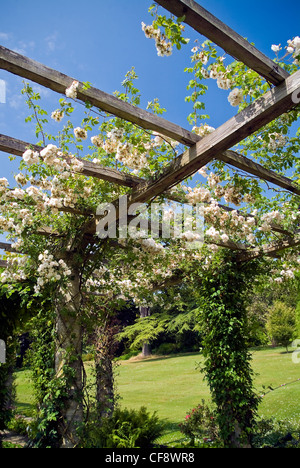 I giardini in West Dean College motivi nelle vicinanze del Chichester, West Sussex, Regno Unito Foto Stock