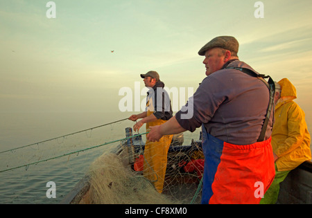 I pescatori prendere il ceppo come essi haul vi net per portare la mattina la cattura. Foto Stock