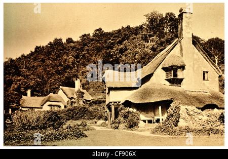 Selworthy Combe verde cottage con il tetto di paglia di paglia villaggio storico di Somerset South West England Europa REGNO UNITO TURISMO Foto Stock