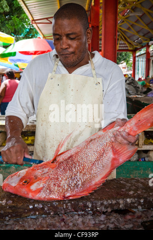 Uomo fresco di disincrostazione Red Snapper pesce nel Sir Selwyn Clark mercato del pesce, Victoria, Isola di Mahe, Seicelle Foto Stock