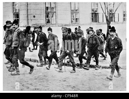 Riserve austriaco che unisce i colori riserva militare tattico esercito strategico marching marzo austriaci Austria Foto Stock