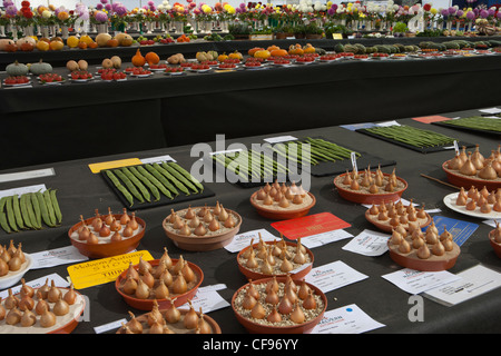 Vincitore del premio di verdure a Malvern Autunno Show 2011 tre contee di massa mostra Foto Stock