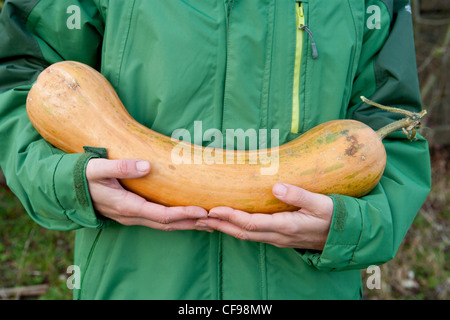 Donna che mantiene squash 'Nice lungo' Foto Stock