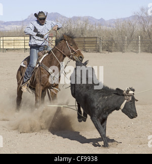 Team roping evento in un piccolo West Texas città. Foto Stock