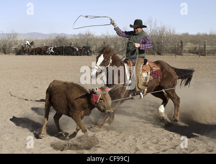 Team roping evento in un piccolo West Texas città. Foto Stock