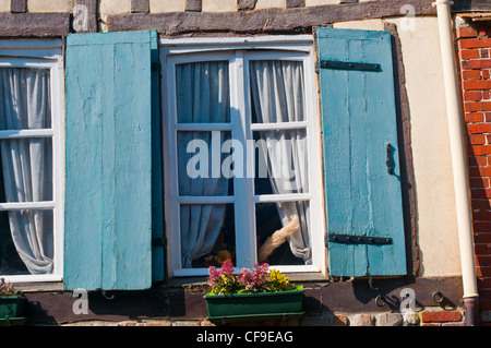 Lione-la-Foret, in Normandia, Eure, Francia, Europa Foto Stock