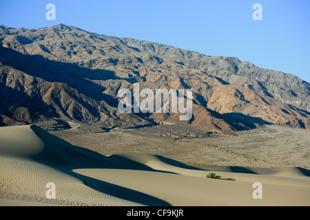 Il mesquite dune e montagne, la Valle della Morte, Nevada Foto Stock