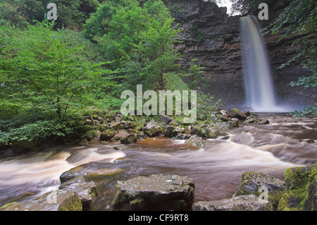 Dales Hardraw vigore cascata REGNO UNITO Foto Stock