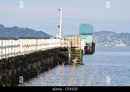 Petone Wharf Foto Stock