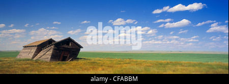 Edifici vecchi e viste della prateria vicino a Val Marie, Saskatchewan, Canada. Foto Stock