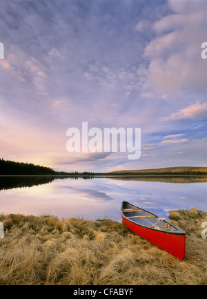 Canoa sul lago paludosa, Alberta, Canada. Foto Stock