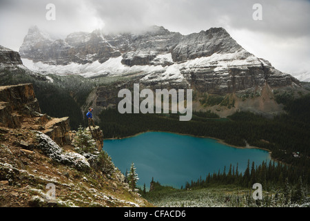 Uomo maturo trekking lungo le battute Huber Wiwaxy Foto Stock