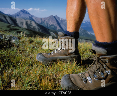 Escursionista piedi nella Bighorn Wildland area - Canadian Rockies, Alberta, Canada. Foto Stock