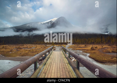 Picco di Smeraldo e il ponte lungo il Lago Smeraldo circuito. Parco Nazionale di Yoho, British Columbia, Canada. Foto Stock