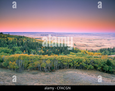 Cypress Hills parco interprovinciale, Saskatchewan, Canada. Foto Stock