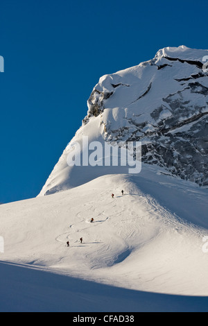 Un gruppo di sciatori backcountry in Fairy Meadows, gamma inflessibile, Selkirks, BC Foto Stock