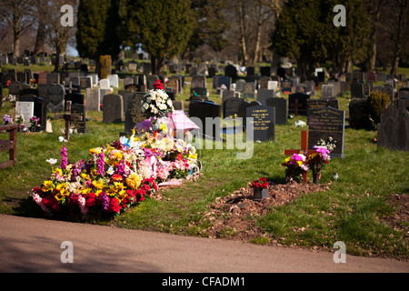 Childs grave ricoperto di fiori freschi cimitero Foto Stock