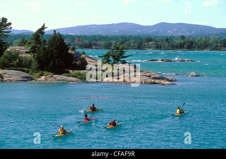 Un gruppo di giovani adulti kayak da mare in Georgian Bay vicino a Killarney, Ontario, Canada. Foto Stock