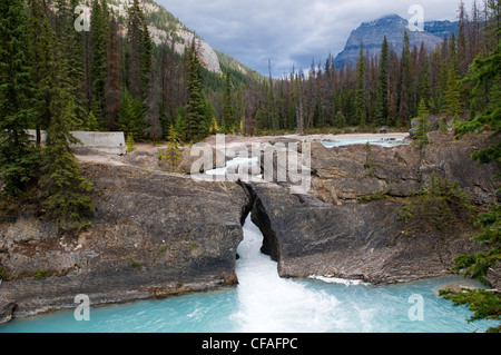 Il Ponte naturale, Parco Nazionale di Yoho, British Columbia, Canada Foto Stock