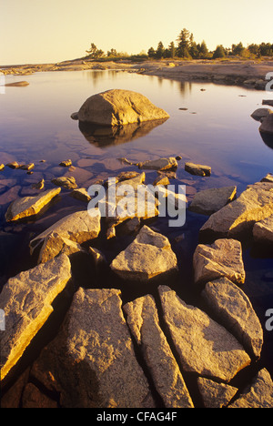 Head Island, trenta mille isole Georgian Bay, Ontario, Canada. Foto Stock