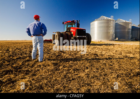 Uomo in piedi appena suolo coltivato stoppie di frumento Foto Stock