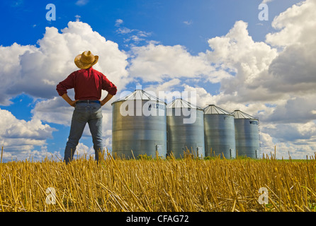 Un uomo si affaccia su di un grano campo di stoppie e grano deposito bidoni vicino a Carey, Manitoba, Canada Foto Stock