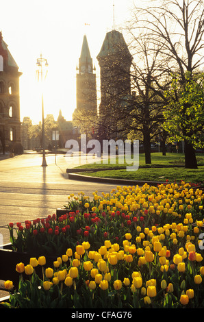 Tramonto sopra gli edifici del Parlamento europeo, Ottawa, Ontario, Canada. Foto Stock